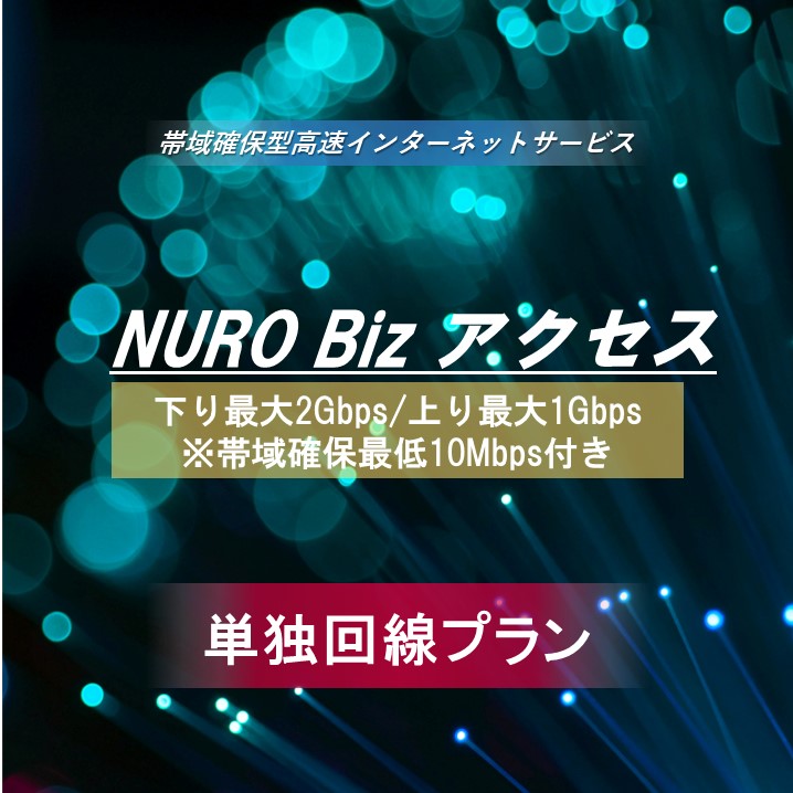 NURO Biz 単独回線プラン